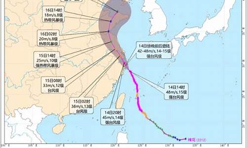 浙江台风路径实时路径_浙江台风路径实时发布系统2020